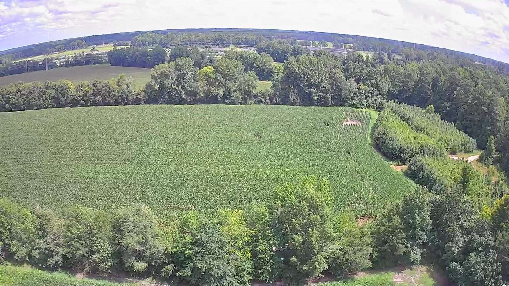 8.85 Acres of Land for Sale in Marion, South Carolina