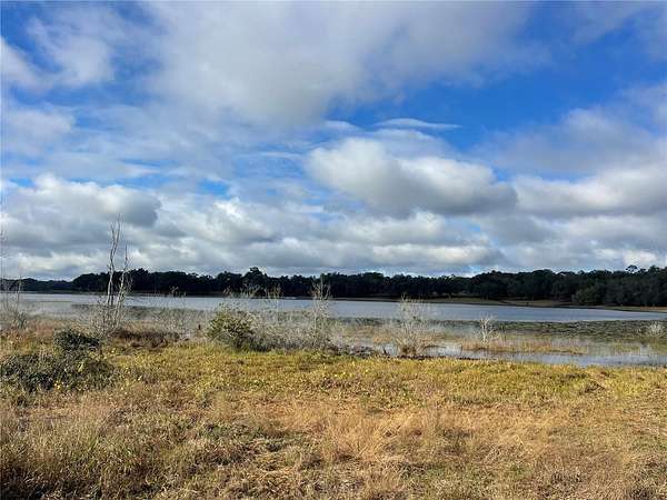 60 Acres of Land for Sale in Lady Lake, Florida