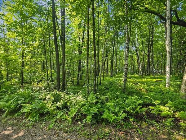 1.33 Acres of Land for Sale in Aitkin, Minnesota