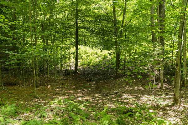 5.9 Acres of Residential Land for Sale in Duxbury, Vermont