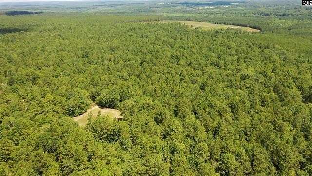 100 Acres of Recreational Land for Sale in Batesburg-Leesville, South Carolina