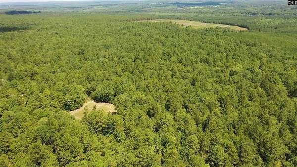100 Acres of Recreational Land for Sale in Batesburg-Leesville, South Carolina