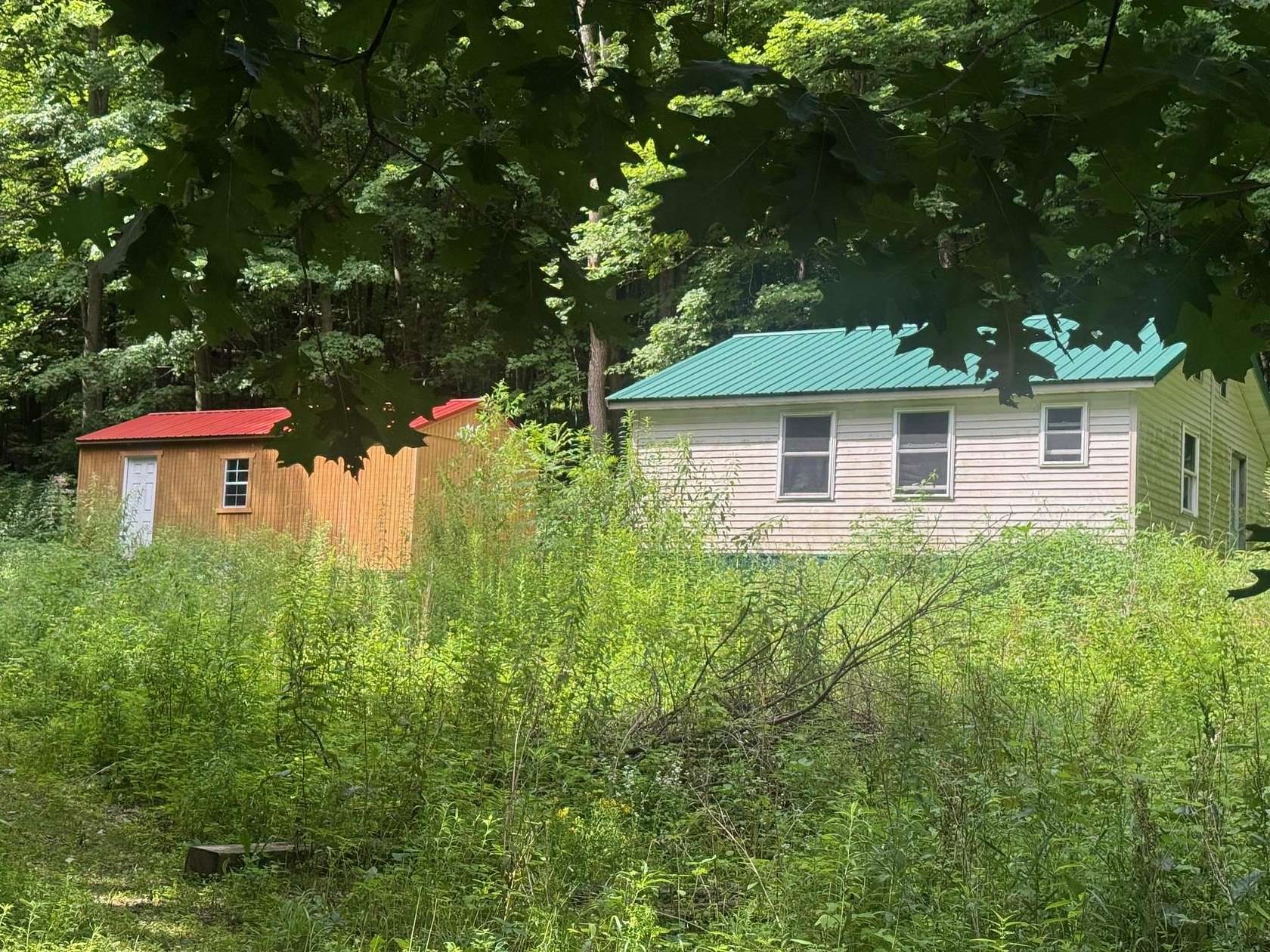 24.6 Acres of Recreational Land with Home for Sale in Hillsboro, Wisconsin