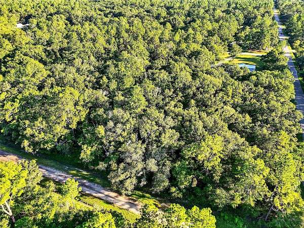 2 Acres of Residential Land for Sale in Hastings, Florida