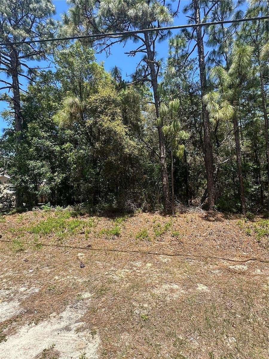 0 29 Acres of Residential Land - Citrus Springs Fl 145614897