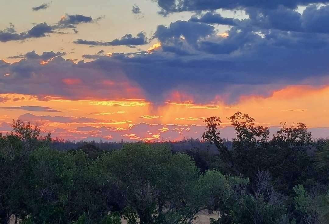 20.5 Acres of Recreational Land for Sale in Red Bluff, California