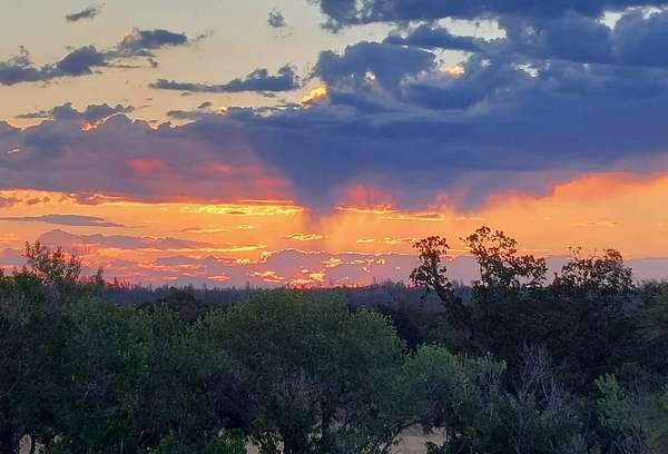 20.5 Acres of Recreational Land for Sale in Red Bluff, California