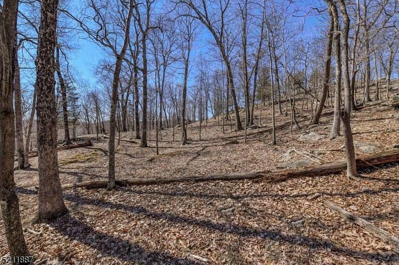 12 Acres of Land for Sale in Ringwood, New Jersey