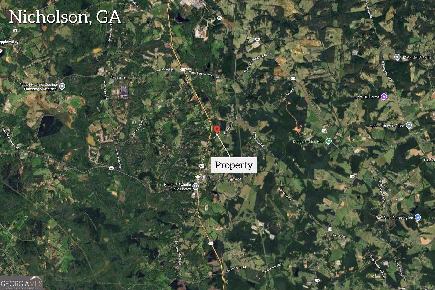 31.5 Acres of Commercial Land for Sale in Nicholson, Georgia