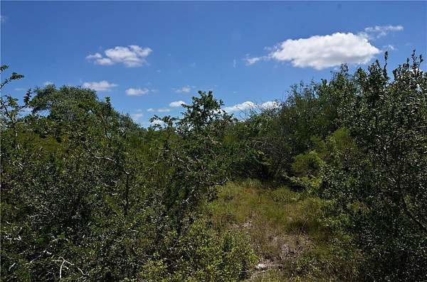 19.8 Acres of Recreational Land for Sale in Beeville, Texas