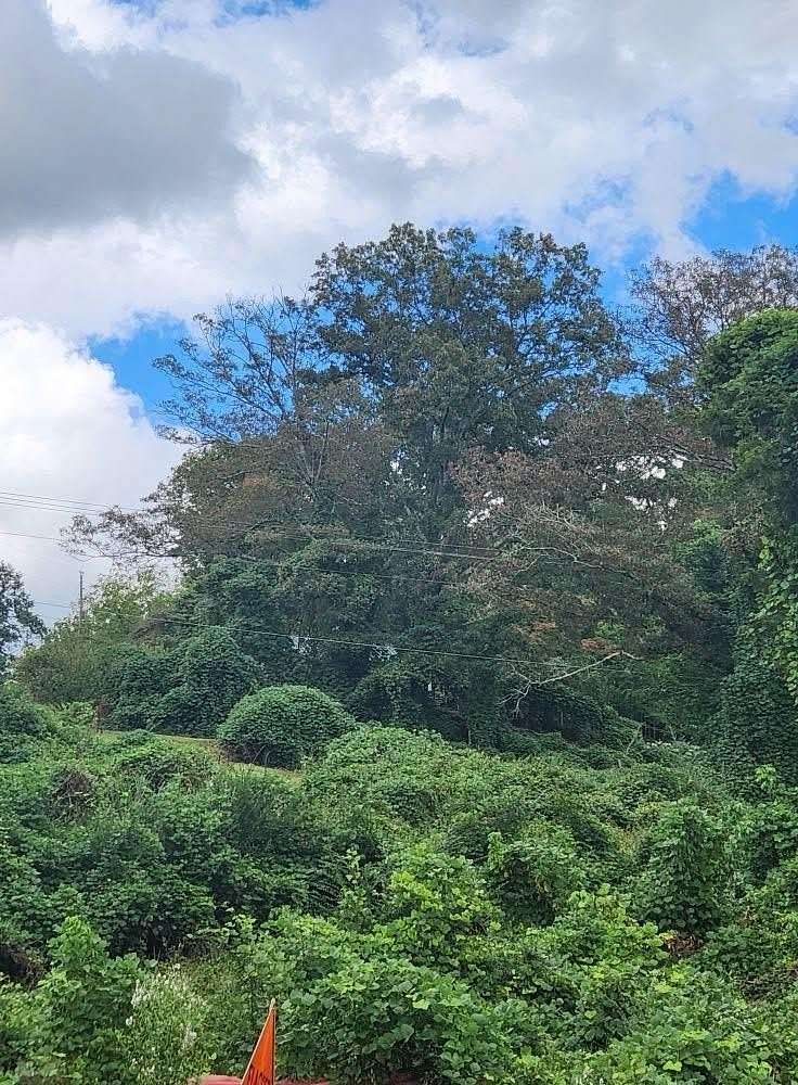 0.35 Acres of Residential Land for Sale in McCaysville, Georgia