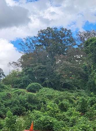 0.35 Acres of Residential Land for Sale in McCaysville, Georgia