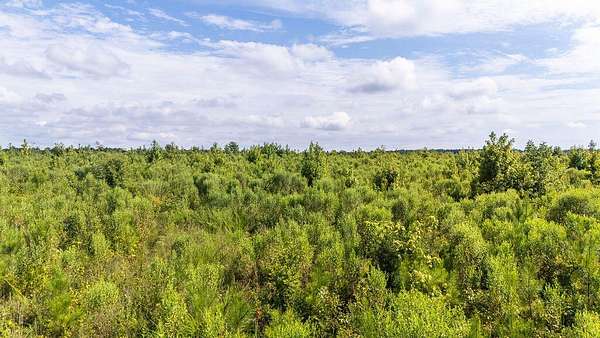 11 Acres of Recreational Land for Sale in Edgefield, South Carolina