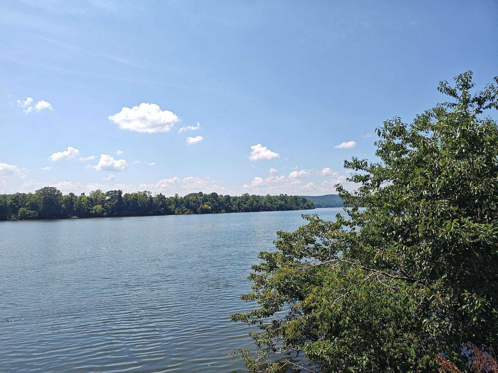 1.6 Acres of Residential Land for Sale in Decatur, Tennessee