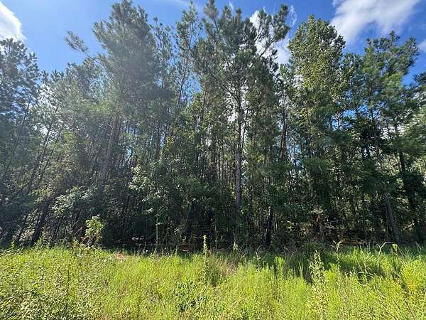 5 Acres of Land for Sale in Baxley, Georgia