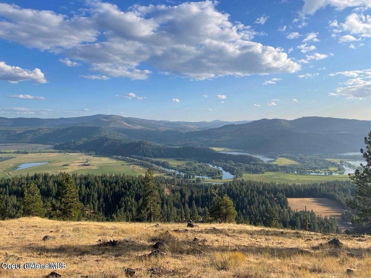 20 Acres of Land for Sale in St. Maries, Idaho