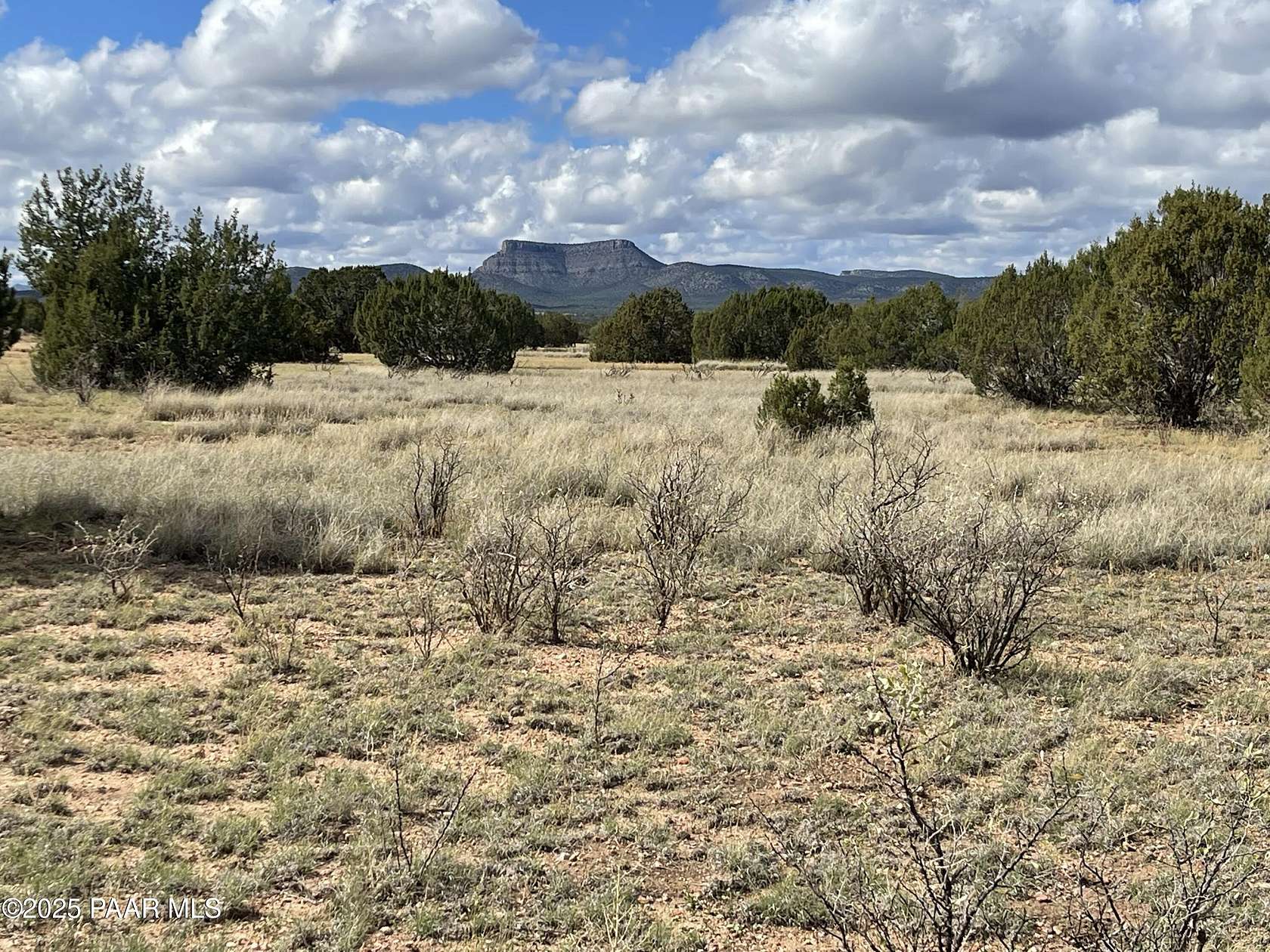 10 Acres of Residential Land for Sale in Seligman, Arizona