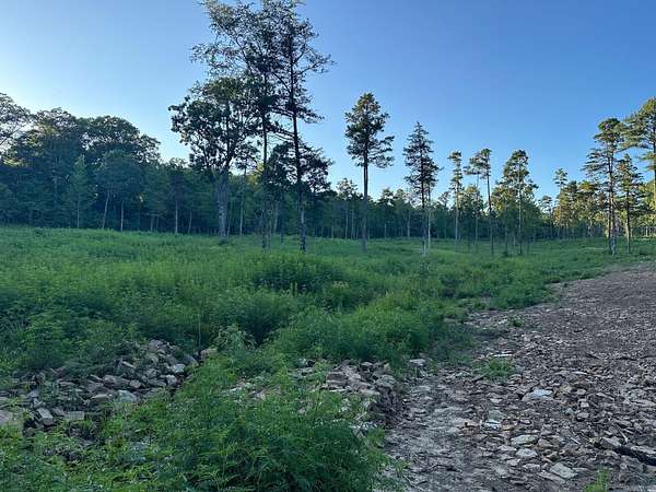 25.8 Acres of Recreational Land for Sale in Ozone, Arkansas