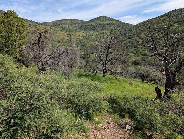 6.15 Acres of Land for Sale in Fort Davis, Texas