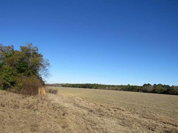 99 Acres of Land for Sale in Shorterville, Alabama