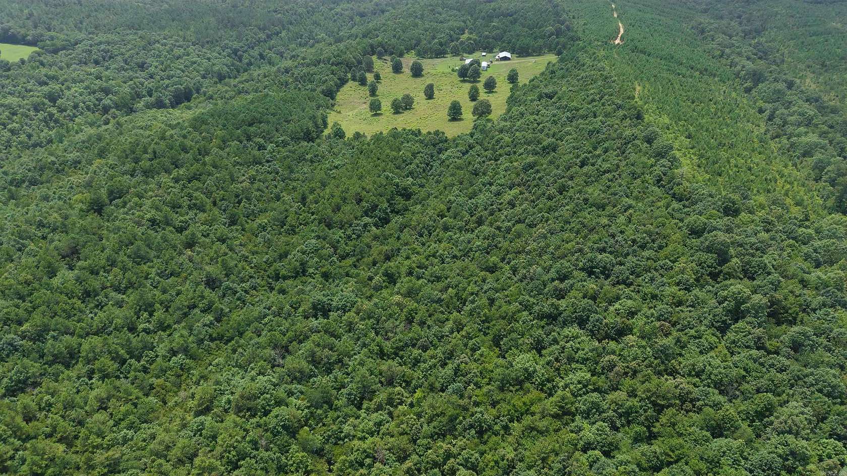 40 Acres of Recreational Land for Sale in Grannis, Arkansas