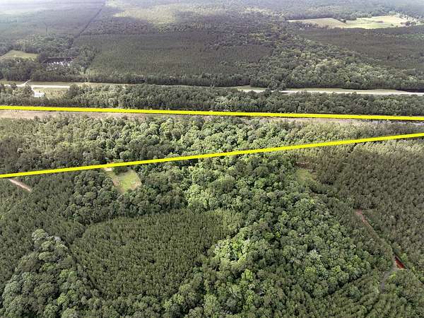 20 Acres of Agricultural Land for Sale in Kountze, Texas