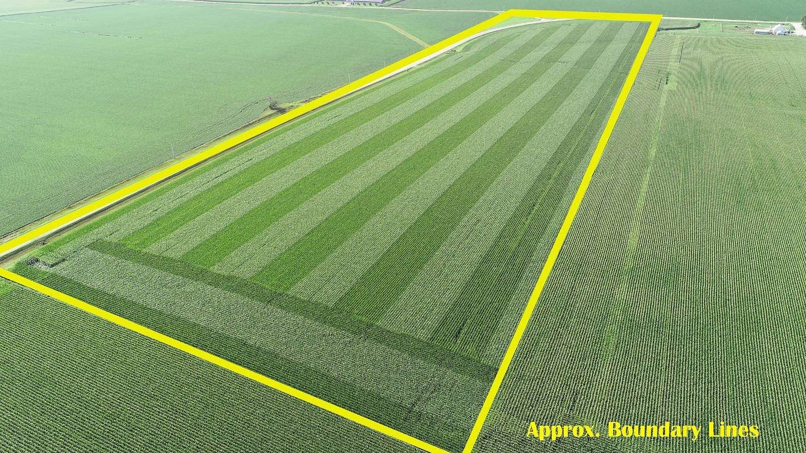 42.2 Acres of Agricultural Land for Sale in Adrian, Minnesota