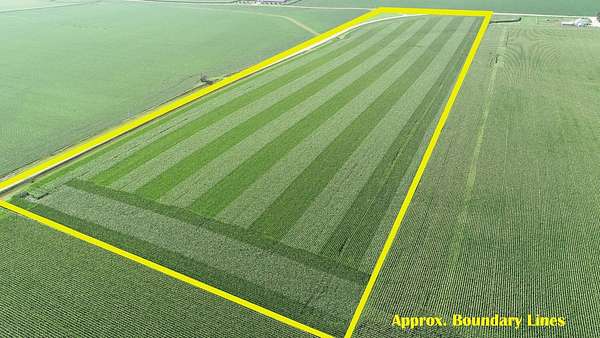 42.2 Acres of Agricultural Land for Sale in Adrian, Minnesota