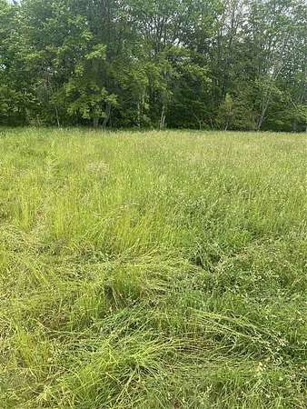 2 Acres of Land for Sale in Charlevoix, Michigan