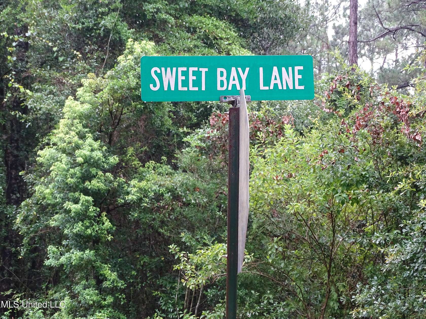 194 Acres of Recreational Land for Sale in Wiggins, Mississippi