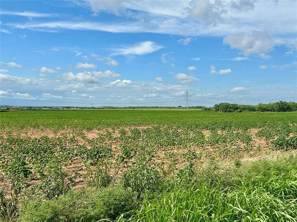 183 Acres of Recreational Land & Farm for Sale in Merkel, Texas