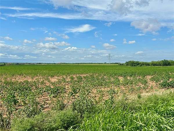 183 Acres of Recreational Land & Farm for Sale in Merkel, Texas