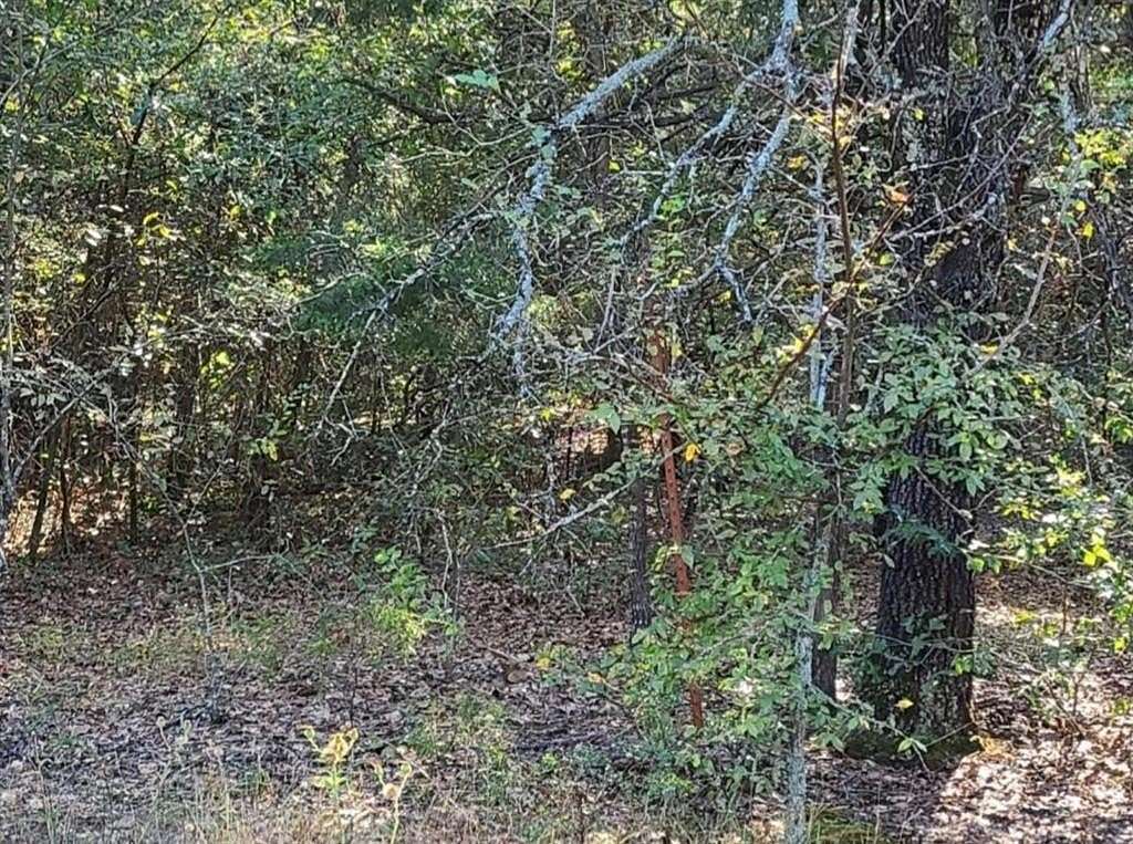 13.6 Acres of Recreational Land for Sale in Brashear, Texas