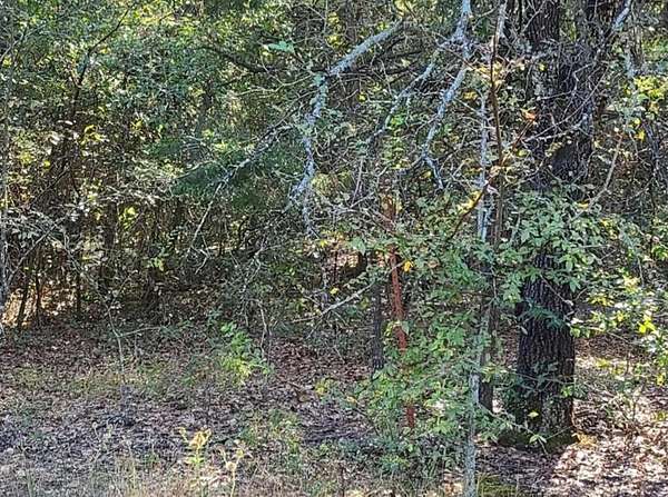 13.6 Acres of Recreational Land for Sale in Brashear, Texas