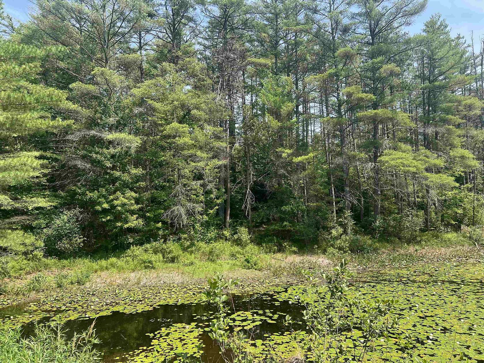 4.1 Acres of Residential Land for Sale in Ossipee, New Hampshire