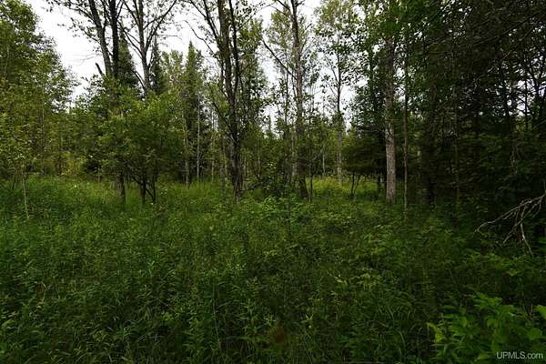 9.52 Acres of Residential Land for Sale in Rock, Michigan