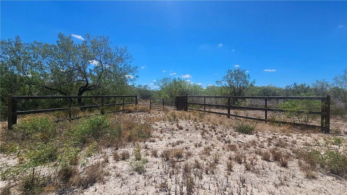 30 Acres of Recreational Land for Sale in Benavides, Texas