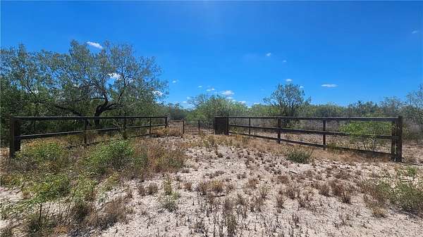 30 Acres of Recreational Land for Sale in Benavides, Texas