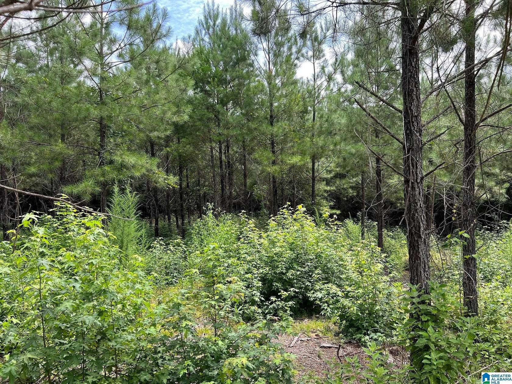10 Acres of Residential Land for Sale in Brierfield, Alabama