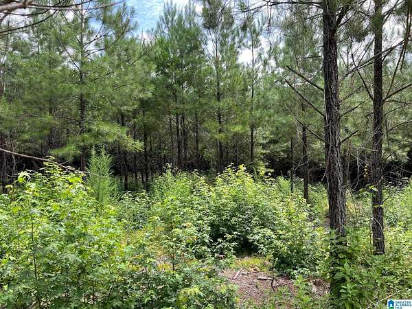 10 Acres of Residential Land for Sale in Brierfield, Alabama
