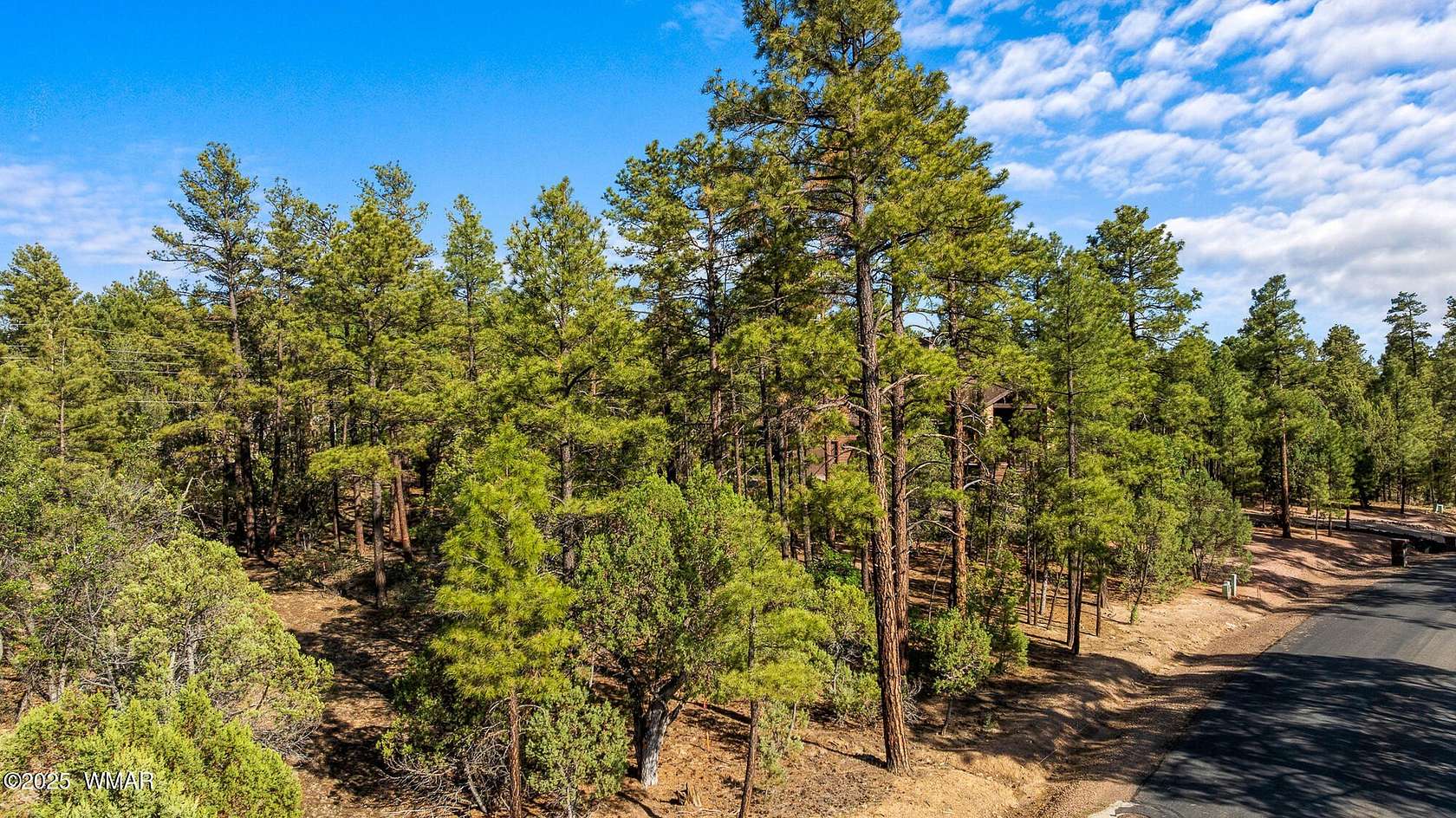 0.44 Acres of Residential Land for Sale in Show Low, Arizona