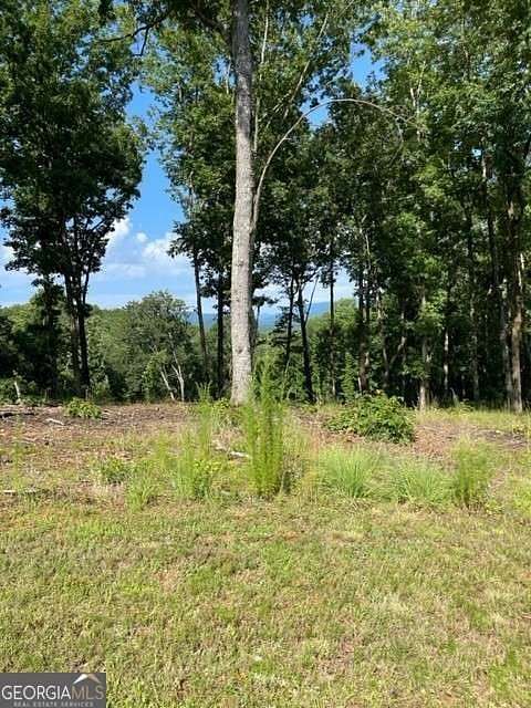 1.53 Acres of Residential Land for Sale in Blairsville, Georgia