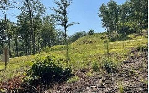 1.53 Acres of Residential Land for Sale in Blairsville, Georgia