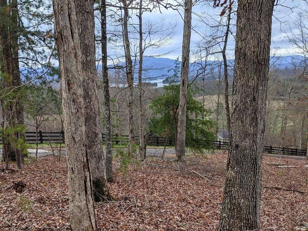 1.58 Acres of Residential Land for Sale in Hayesville, North Carolina