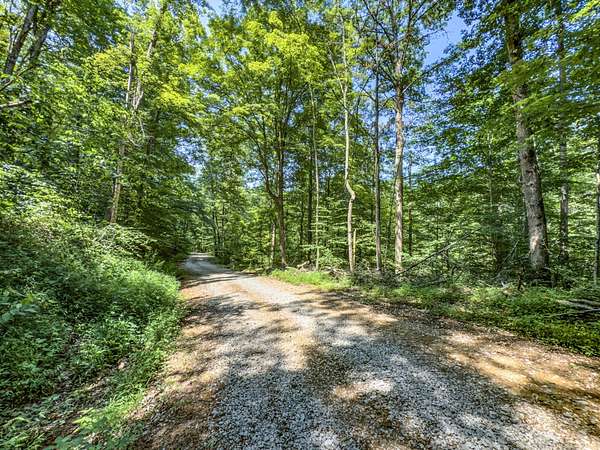 153 Acres of Recreational Land for Sale in Cairo, West Virginia