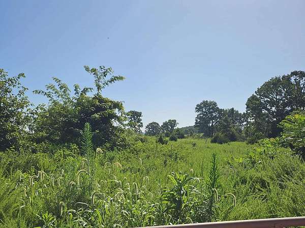 19.7 Acres of Land for Sale in Gainesville, Missouri