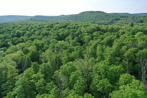 186 Acres of Recreational Land for Sale in Millport, Pennsylvania