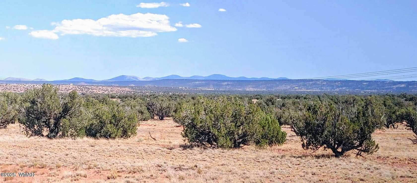 37.3 Acres of Recreational Land for Sale in Concho, Arizona