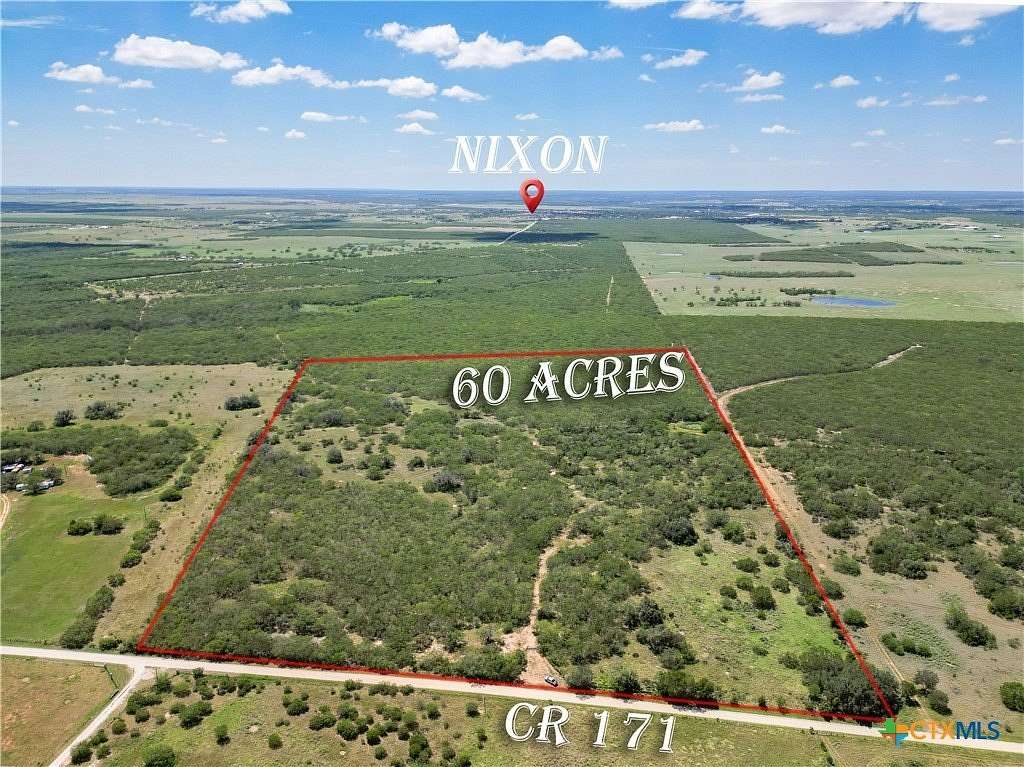 60 Acres of Land for Sale in Nixon, Texas