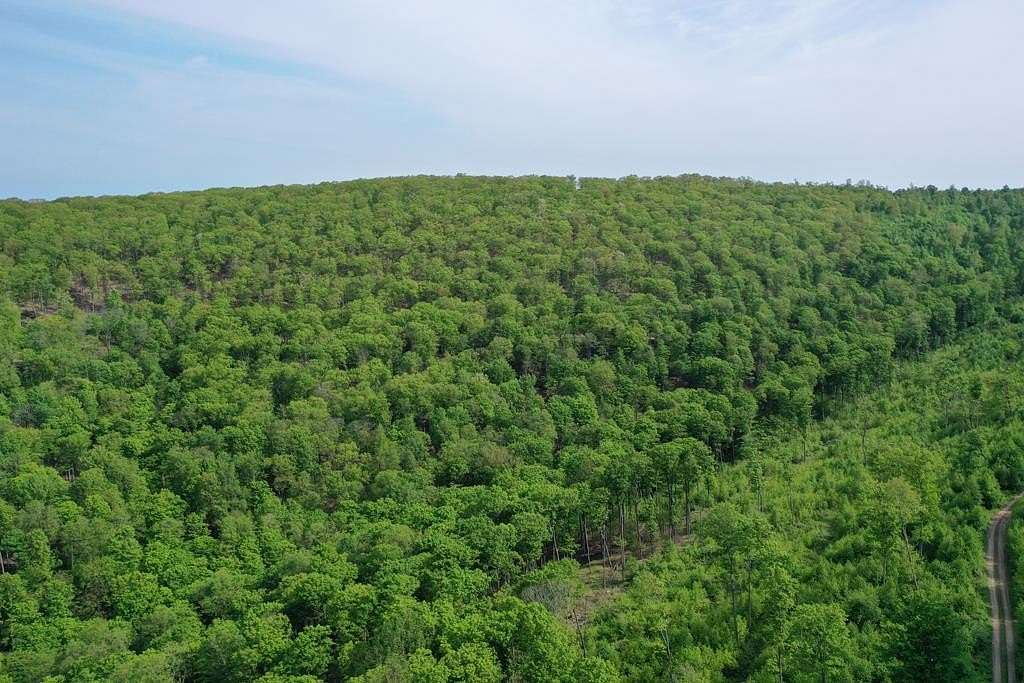 364 Acres of Recreational Land for Sale in Oswayo, Pennsylvania
